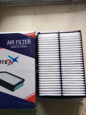 Air Filter Hyundai Starex/H1 (Autotex Brand)