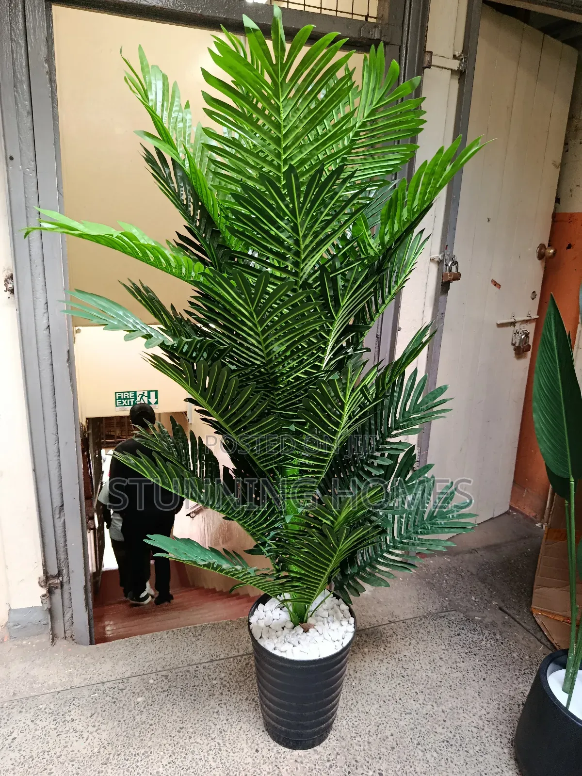Artificial Palm Plant