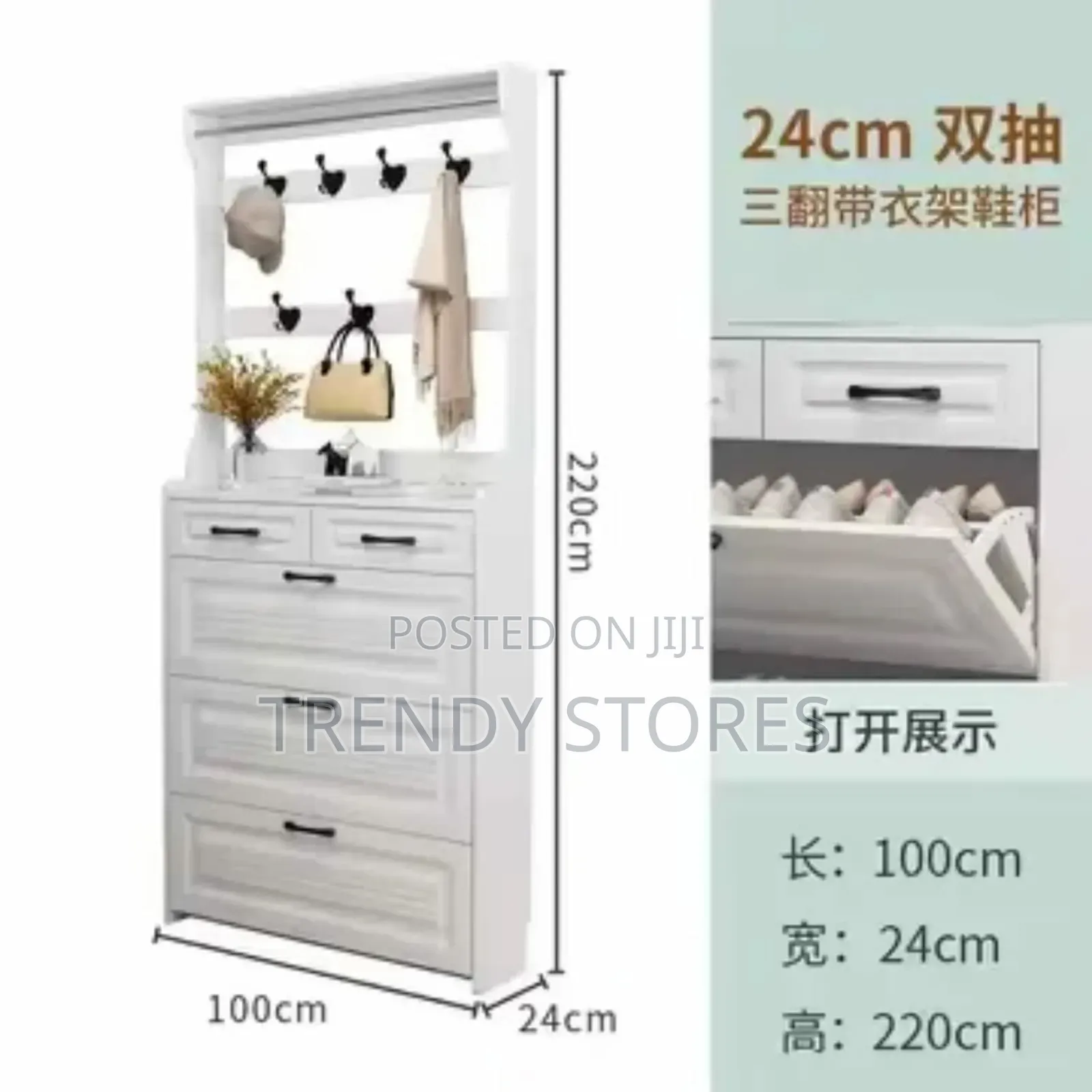 Shoe Cabinet