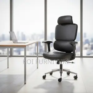 Office Chair; Executive Orthopedic High Back Chair