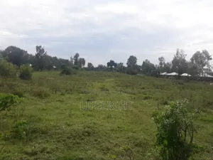 Land For Rent