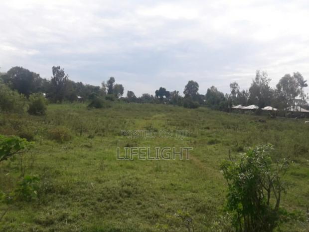 Land For Rent