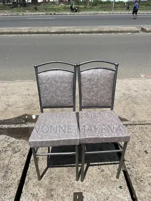 Restaurant Chairs Coated Silver
