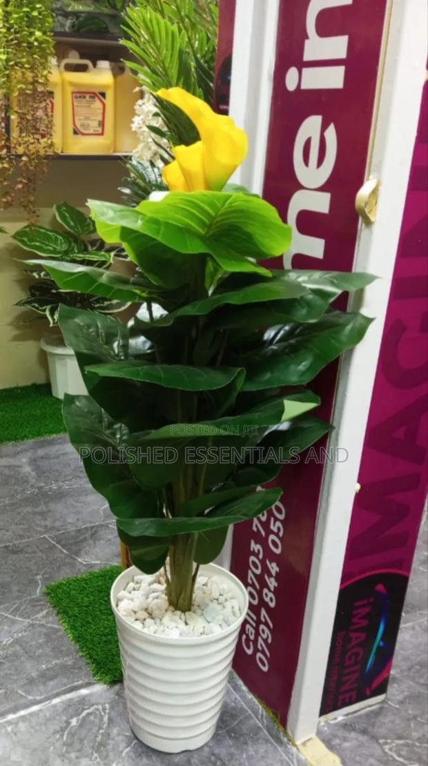 Plants Green Unique - main view