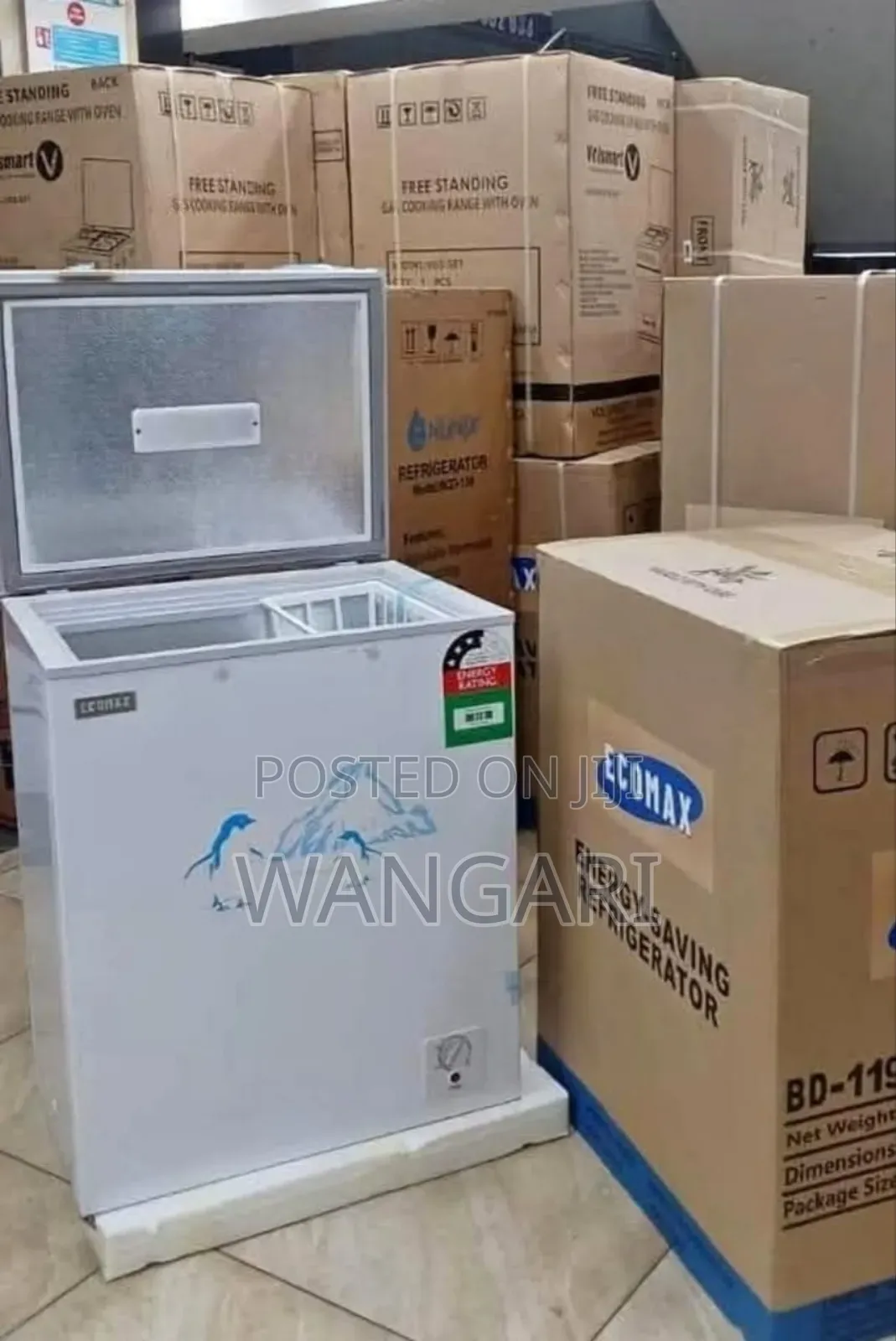 Energy Saving Ecomax 119 Litres Freezer