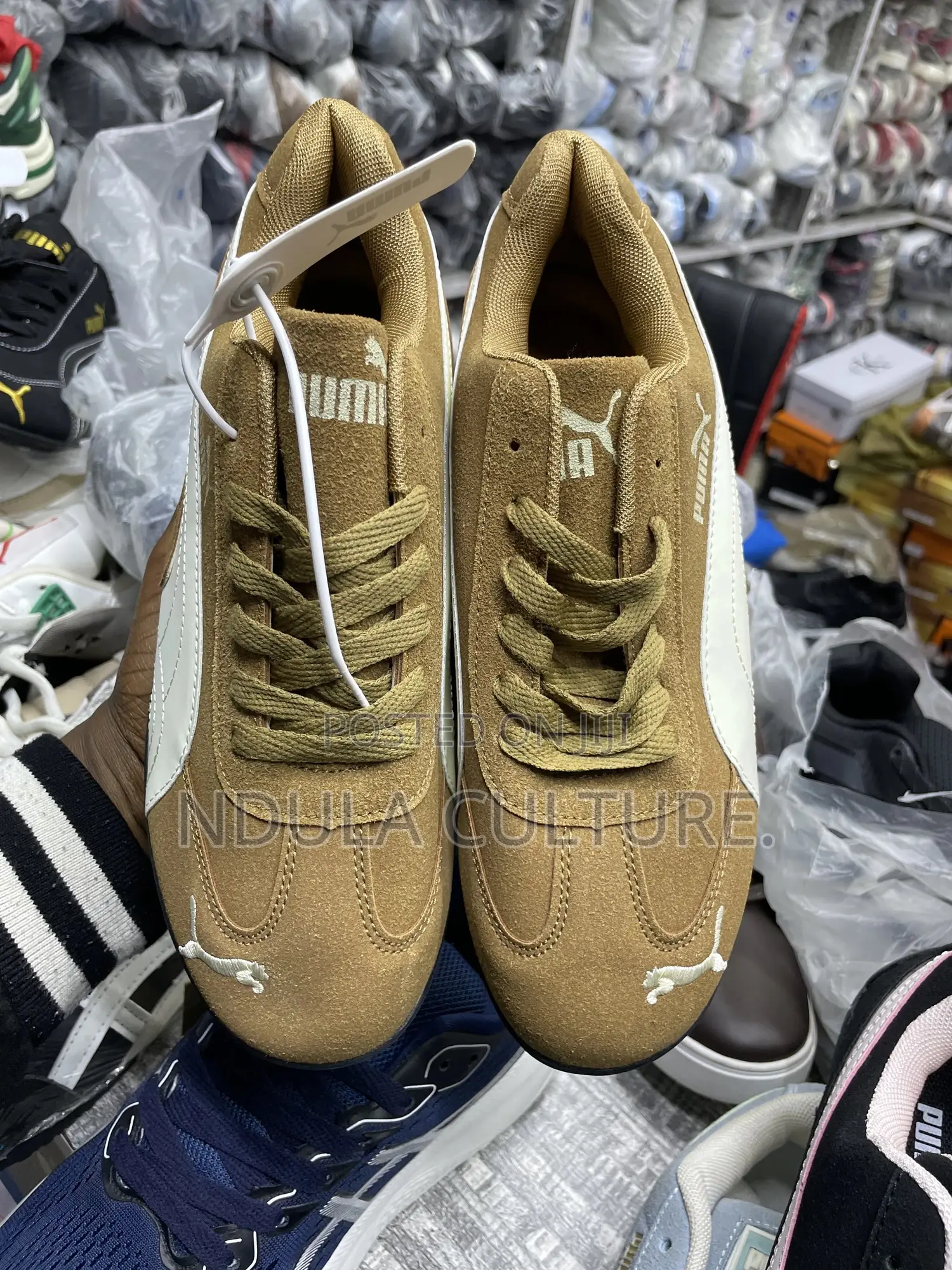 Puma Speed Cat