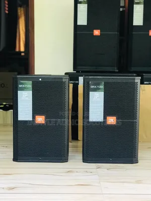 12" Professional Monitor Speaker