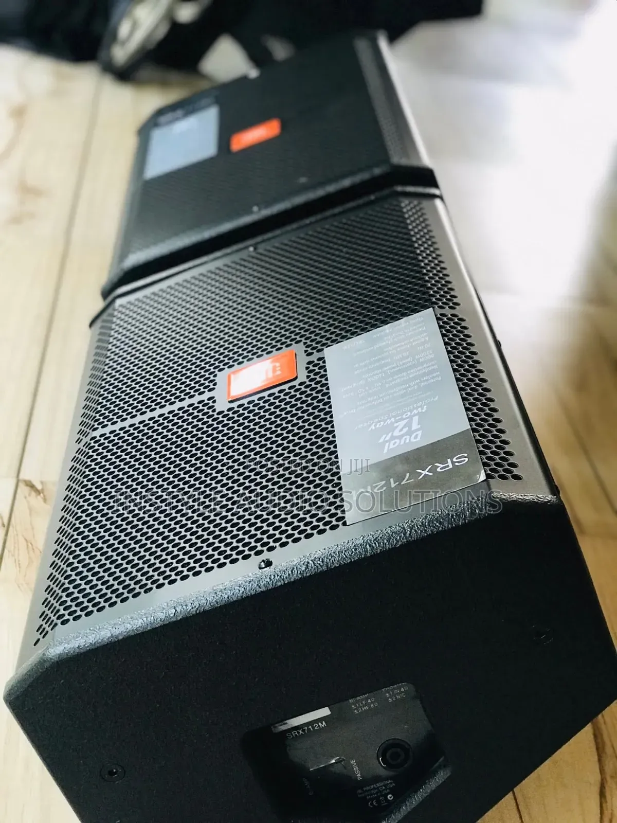 12" Professional Monitor Speaker