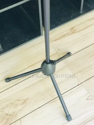 Boom Adjustable Metallic Microphone Stand
