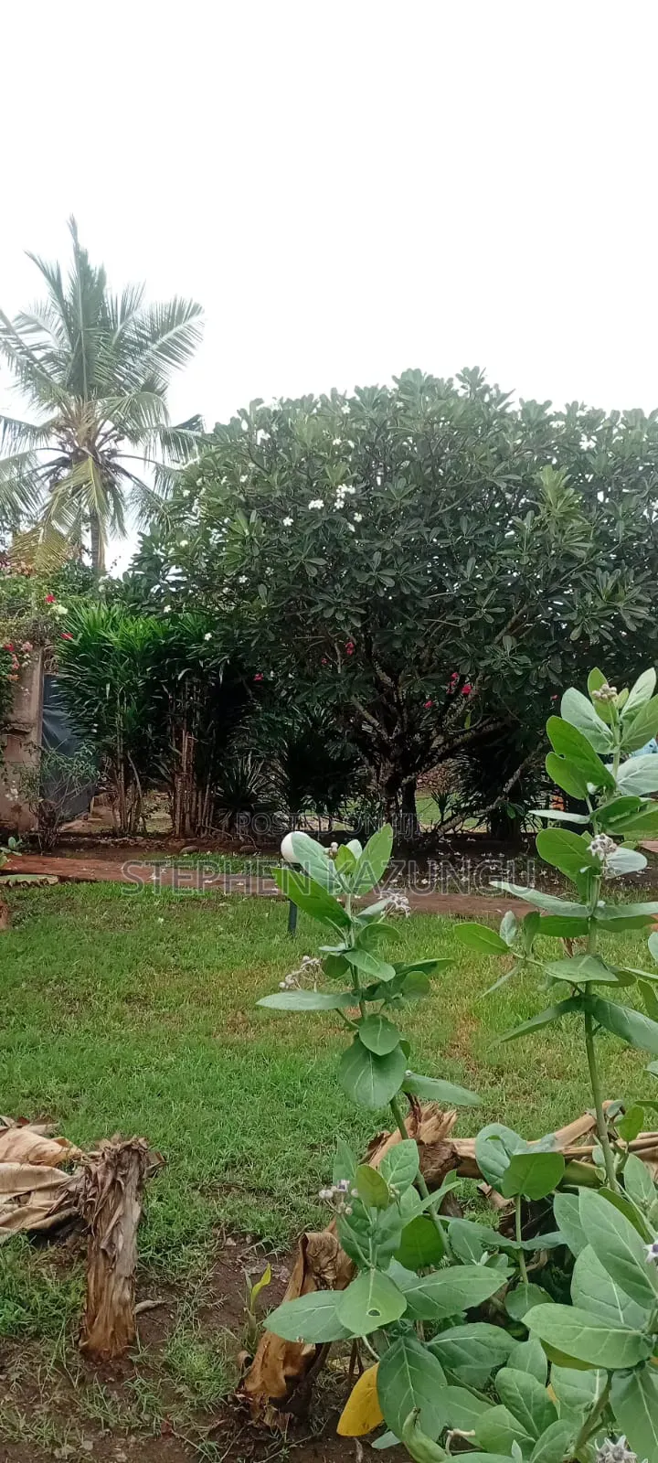 3bdrm House in Behind Diani, Ukunda for sale