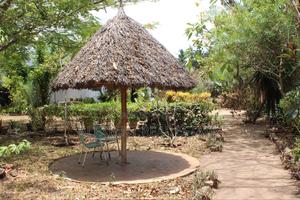1⁄4 Acre Plot for Sale – Galu Kinondo - thumbnail 2
