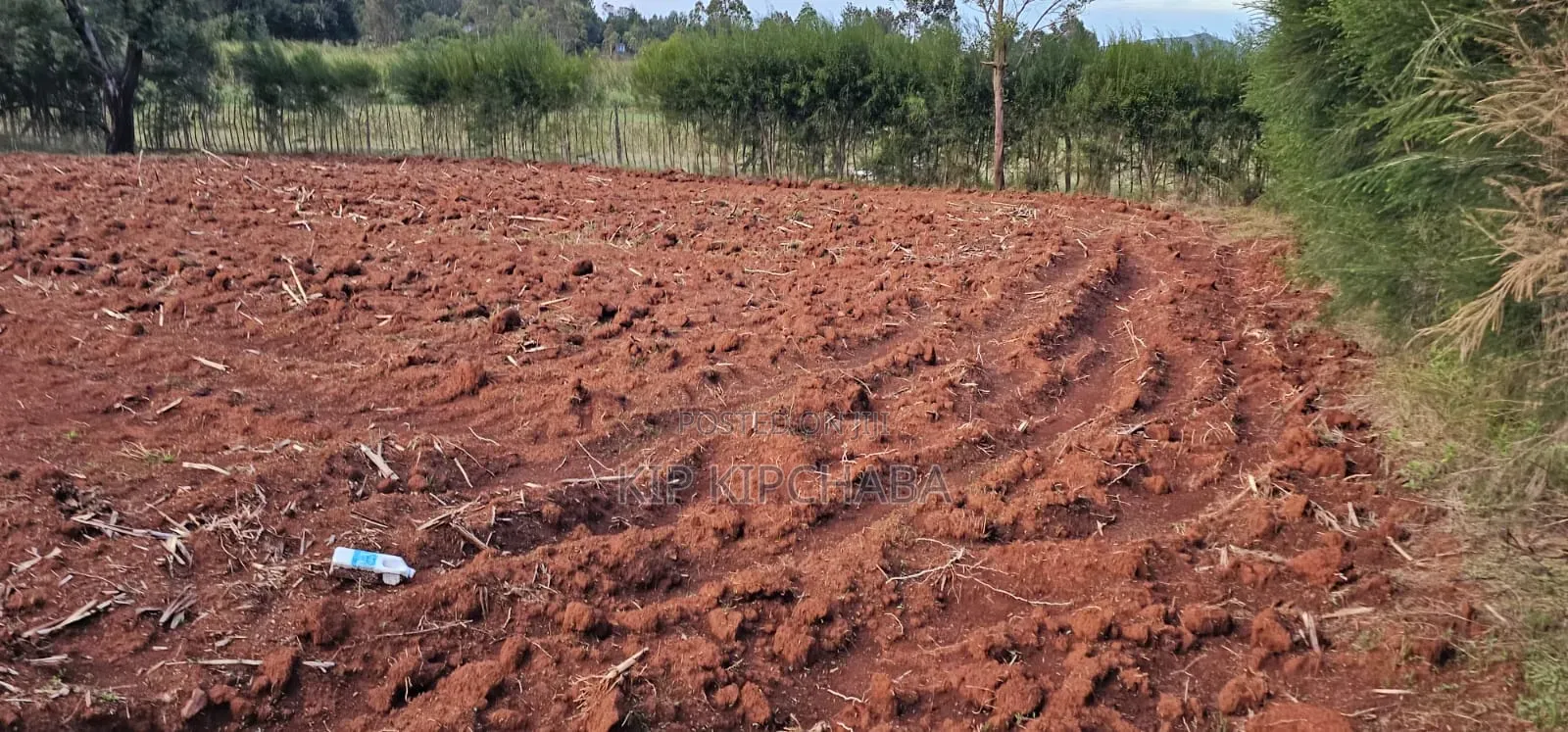 Prime 1⁄4 Plot for Sale in Chepkanga Eldoret