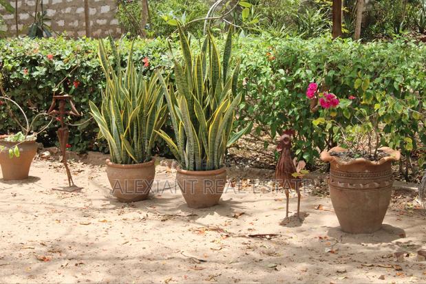 1⁄4 Acre Plot for Sale – Galu Kinondo - thumbnail 6