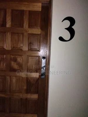 Face and Palm Id Smart Biometric Locks