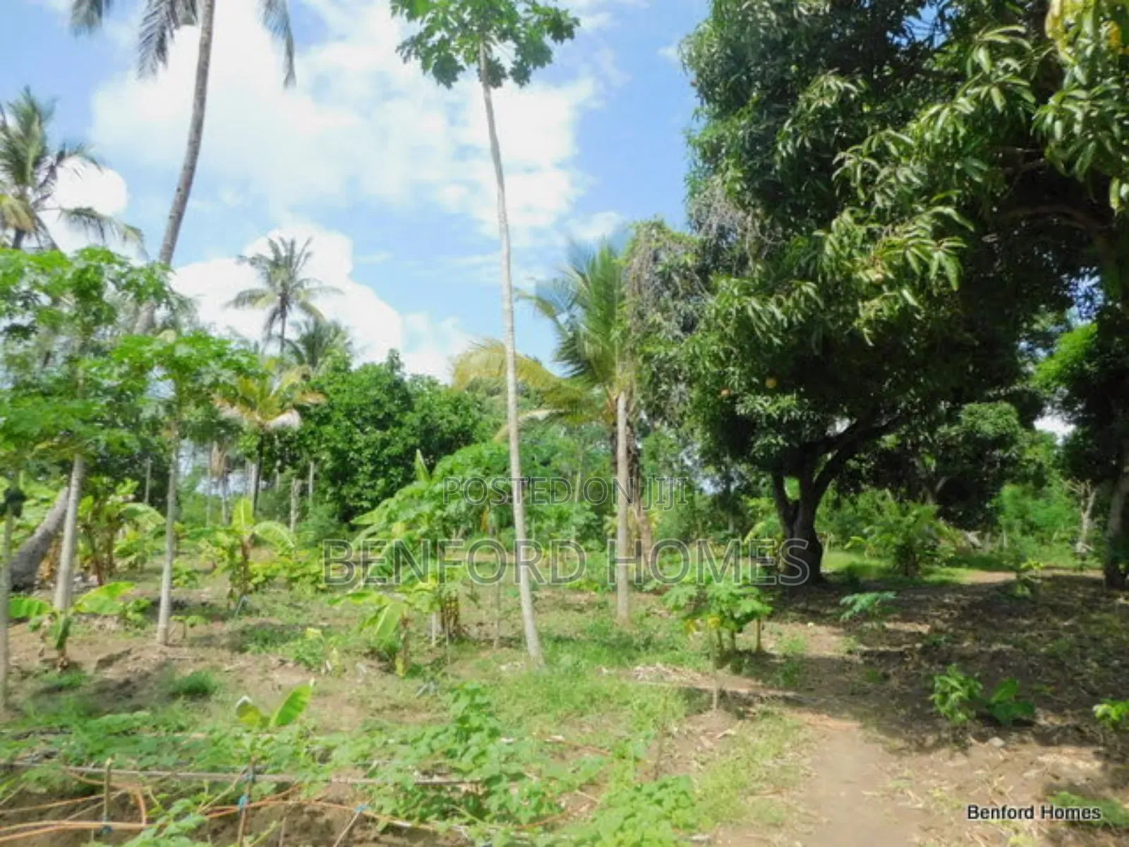 2 Acres Prime Land on Sale Kikambala Kwa Kazengo