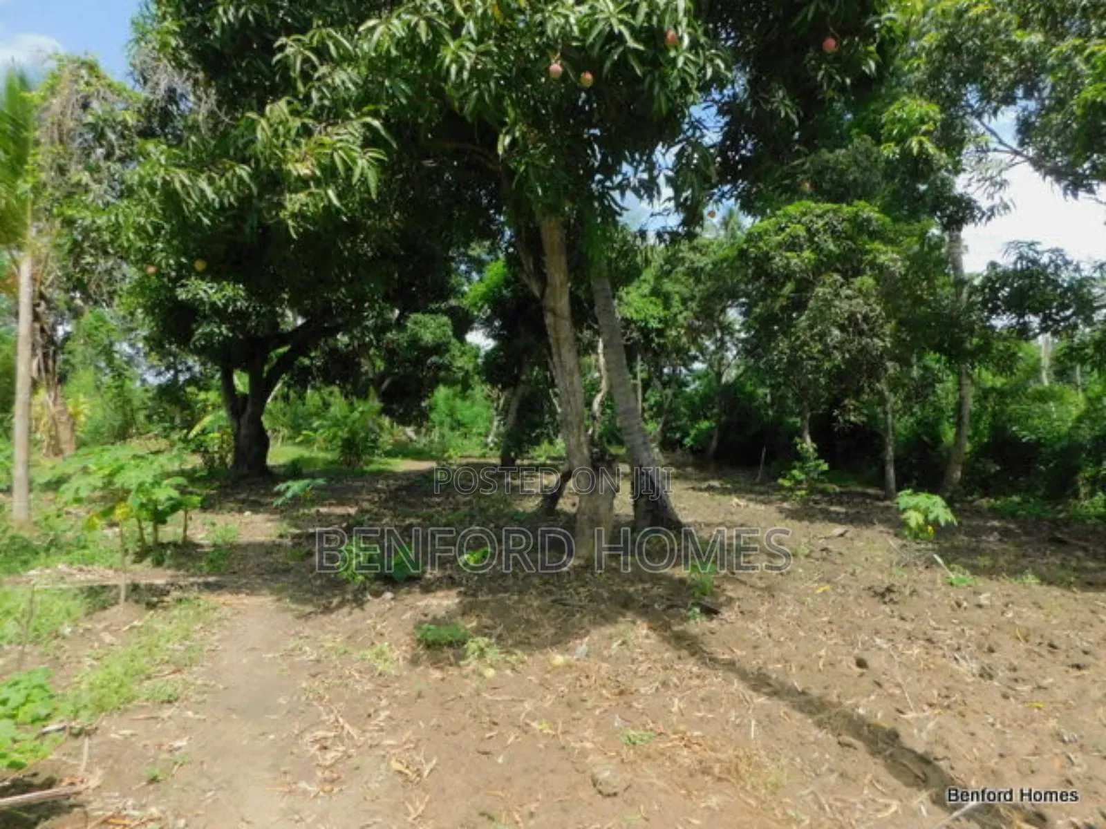 2 Acres Prime Land on Sale Kikambala Kwa Kazengo