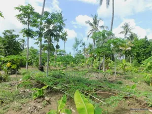 2 Acres Prime Land on Sale Kikambala Kwa Kazengo