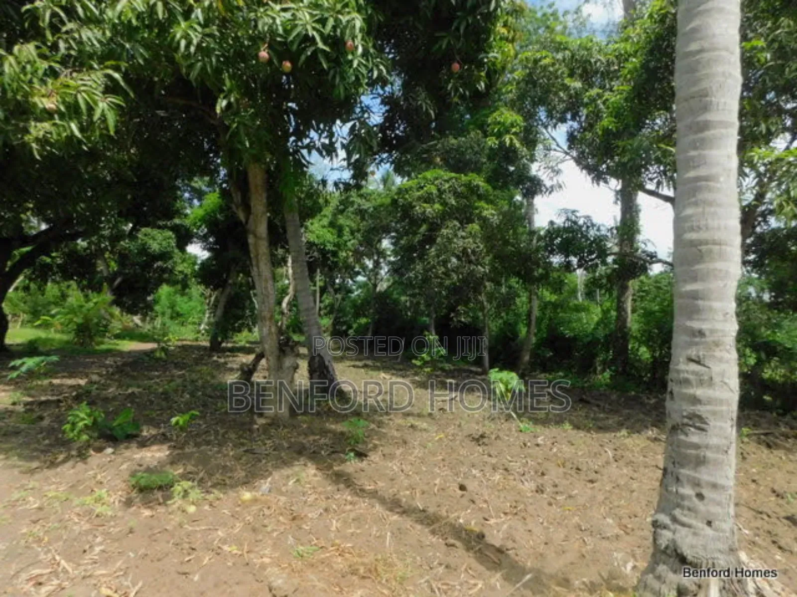 2 Acres Prime Land on Sale Kikambala Kwa Kazengo