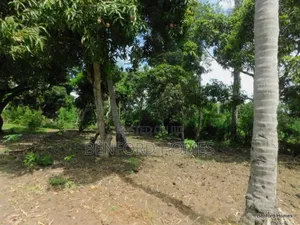 2 Acres Prime Land on Sale Kikambala Kwa Kazengo