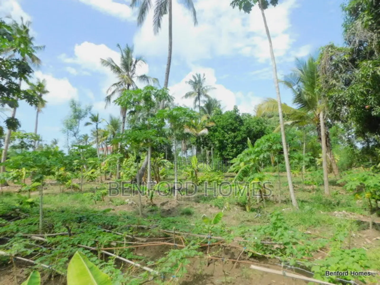 2 Acres Prime Land on Sale Kikambala Kwa Kazengo