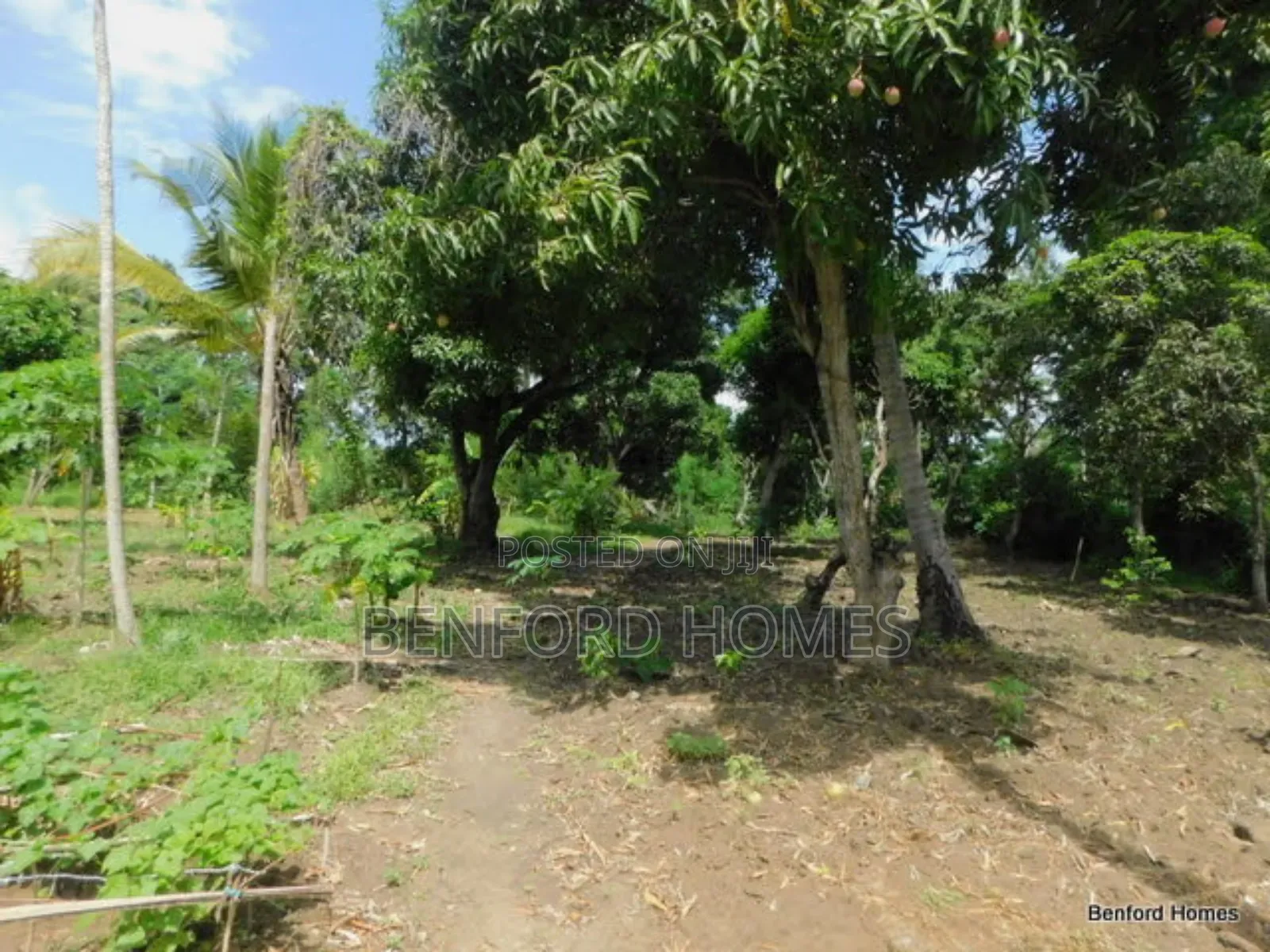 2 Acres Prime Land on Sale Kikambala Kwa Kazengo