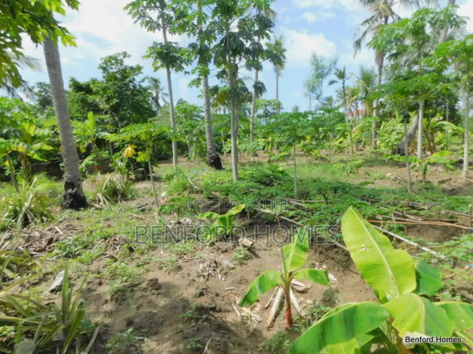 2 Acres Prime Land on Sale Kikambala Kwa Kazengo