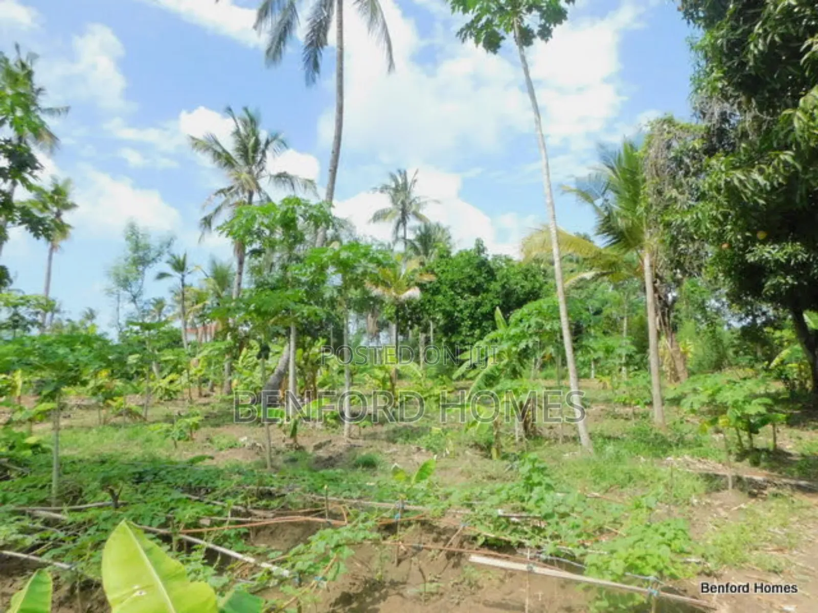 2 Acres Prime Land on Sale Kikambala Kwa Kazengo