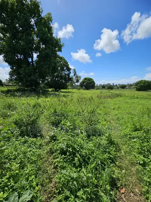 5 Acres of Land With a Perimeter Wall Fence on Sale Kikambala Bomani