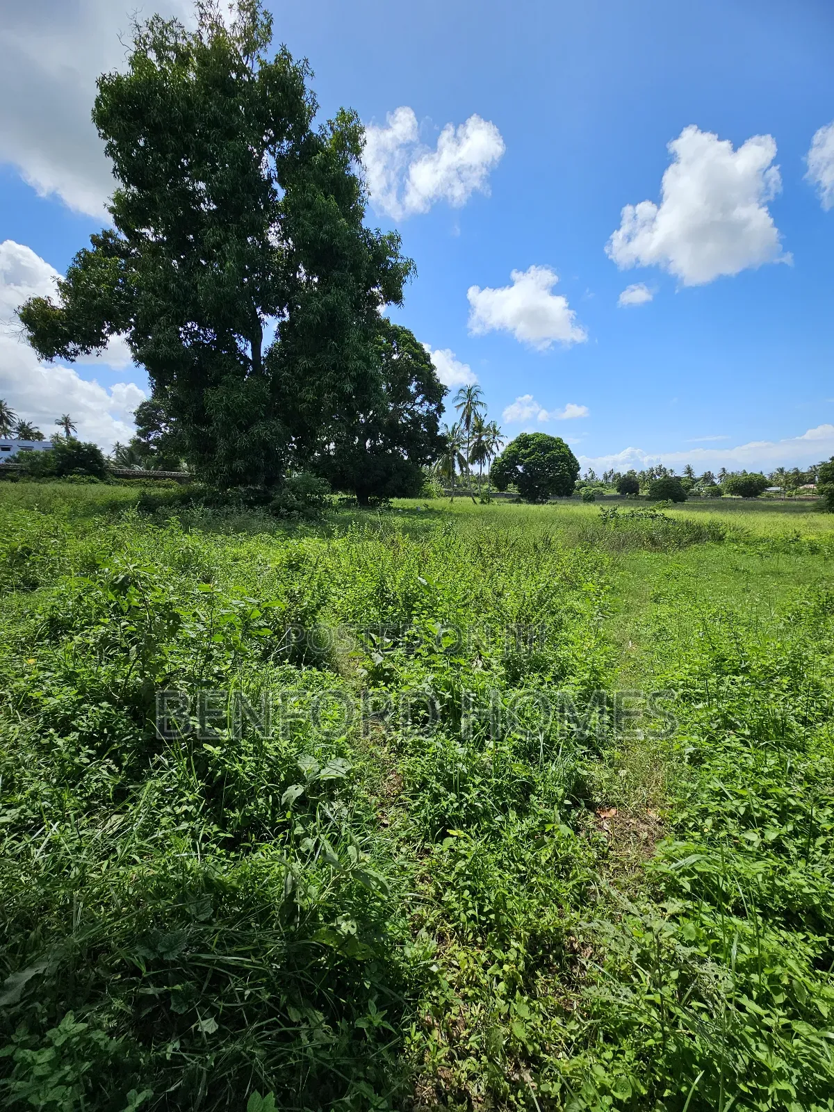 5 Acres of Land With a Perimeter Wall Fence on Sale Kikambala Bomani