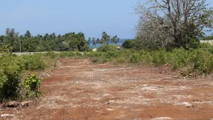Kikambala Prime Plots On Sale 2nd Row From The Beach