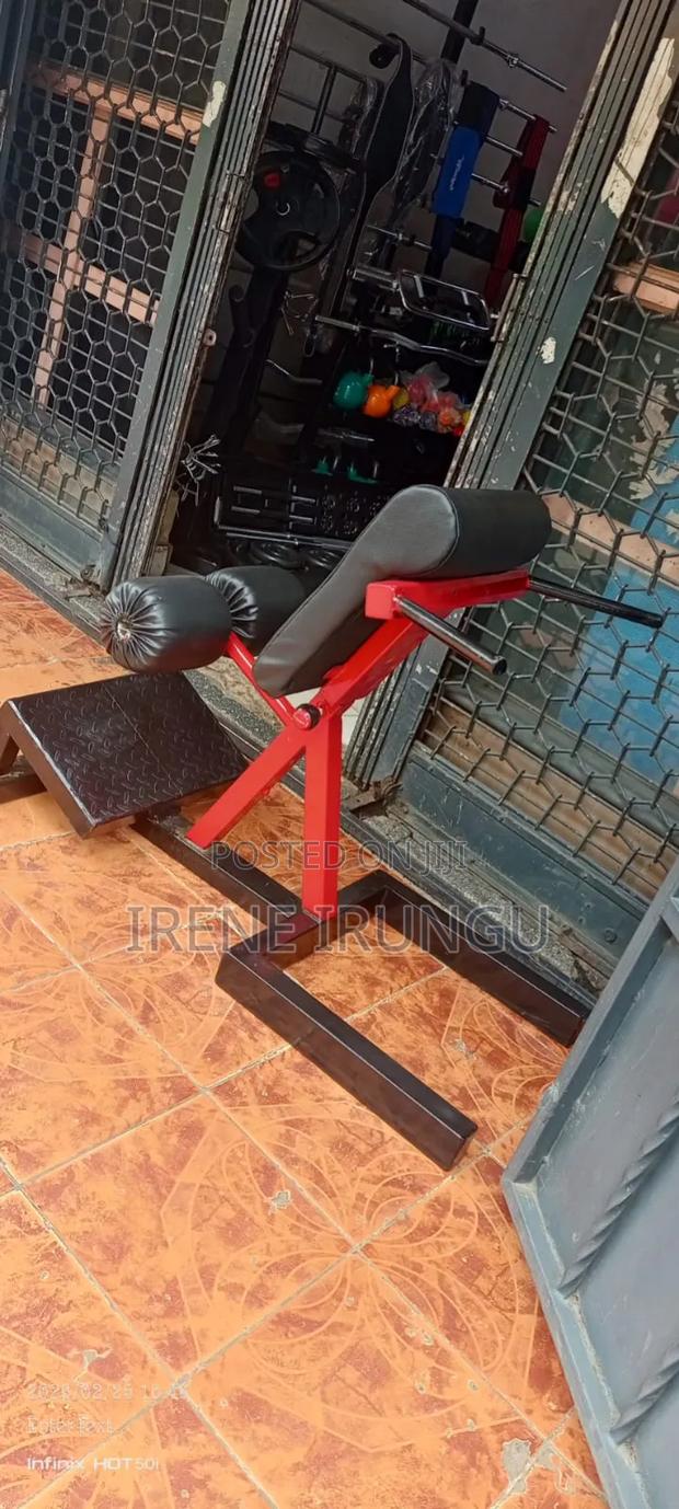 Heavy Duty Roman Chair/ Back Exercise Machine