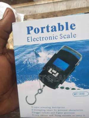 Digital Portable Mini 50kg Scales