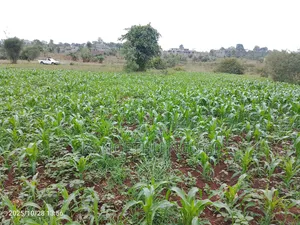 Quick Sale 40x80 Matropi Estate Kiambu