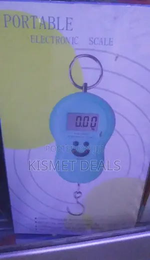 Digital Portable Mini 50g Scales