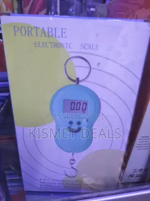 Digital Portable Mini 50g Scales