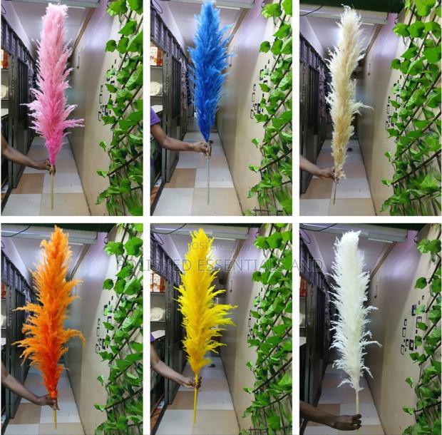 Pampas Grass Fluffy for Decoration - main view