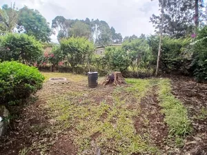 1bdrm Bungalow in Karen C for rent
