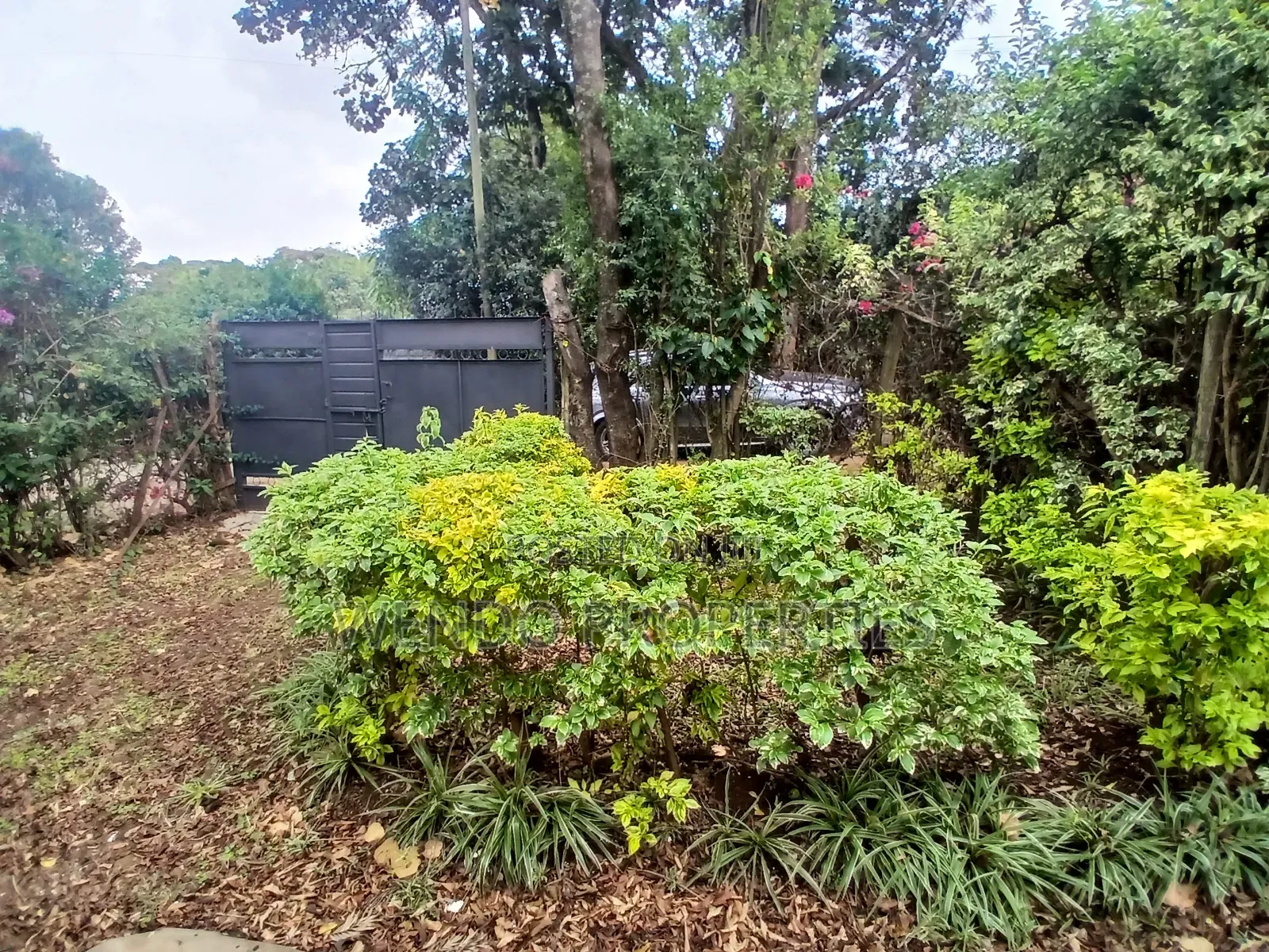 1bdrm Bungalow in Karen C for rent