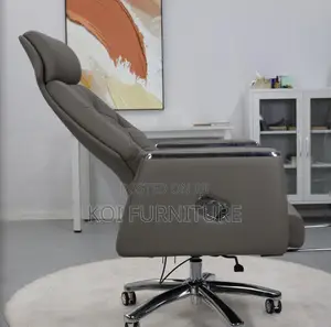 Office Chair : Director's Executive Office Chair
