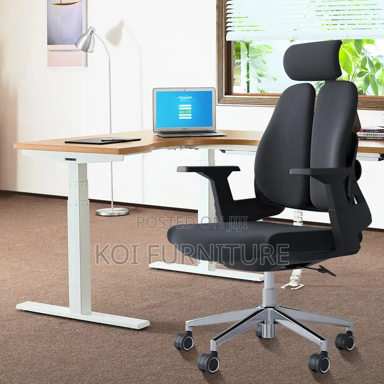 Office Chair : High Back Ergonomic Office Chair