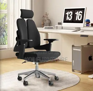 Office Chair : High Back Ergonomic Office Chair