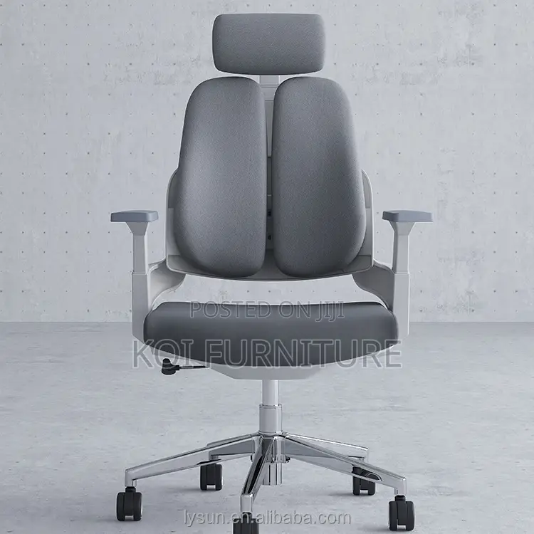 Office Chair : High Back Ergonomic Office Chair