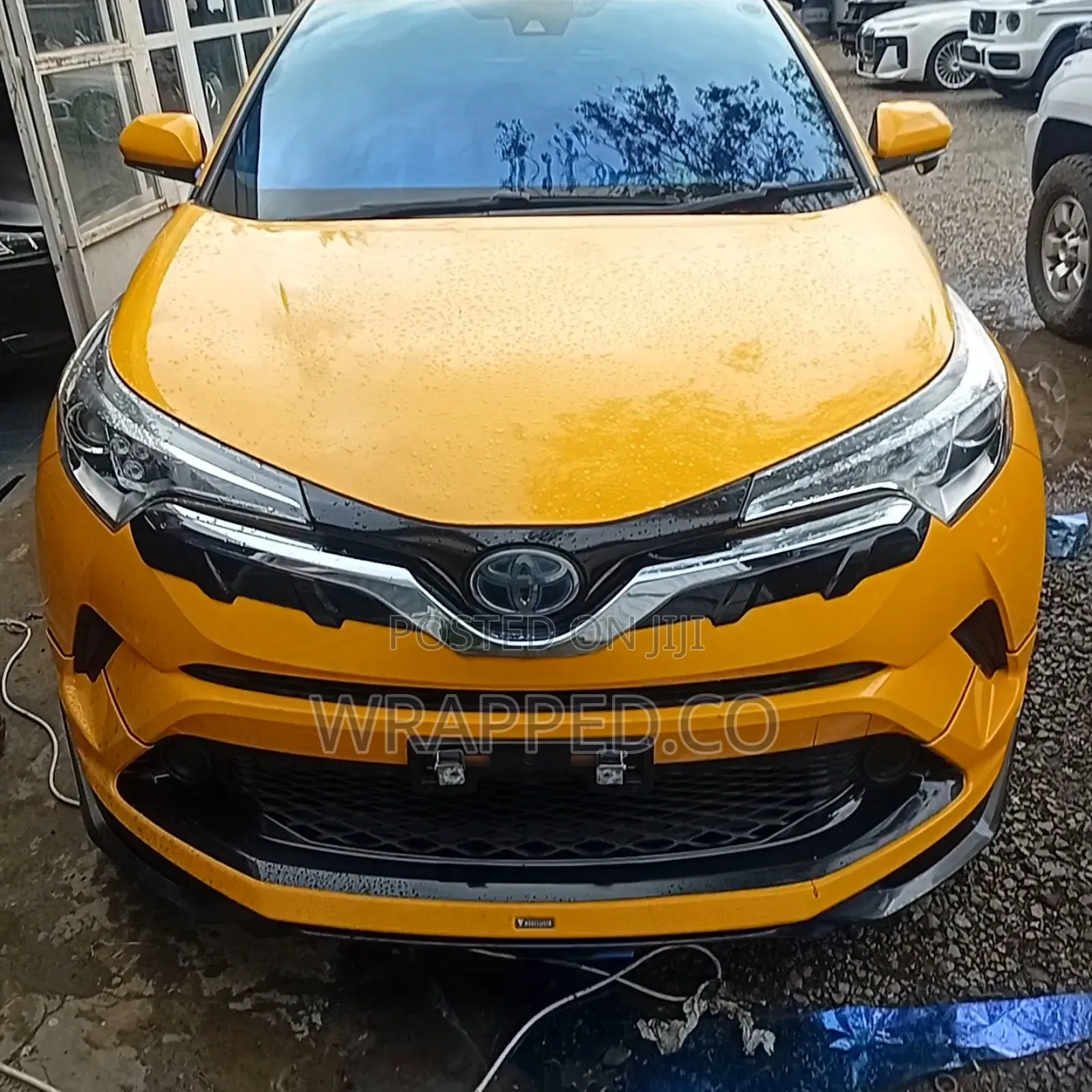 Full Ceramic Tint + Blue Chameleon Windshield Installation