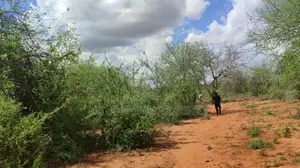 198 Acres For Sale In Mutha