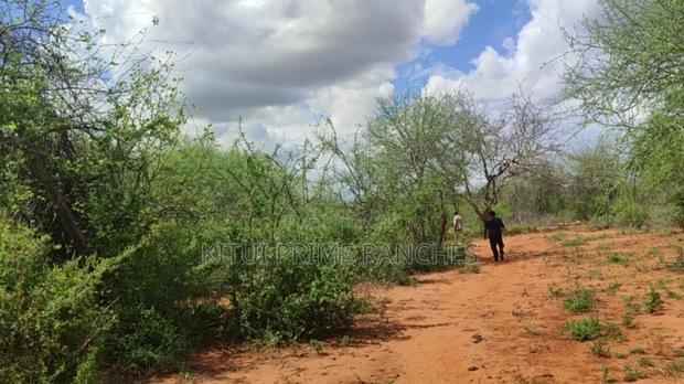 198 Acres For Sale In Mutha