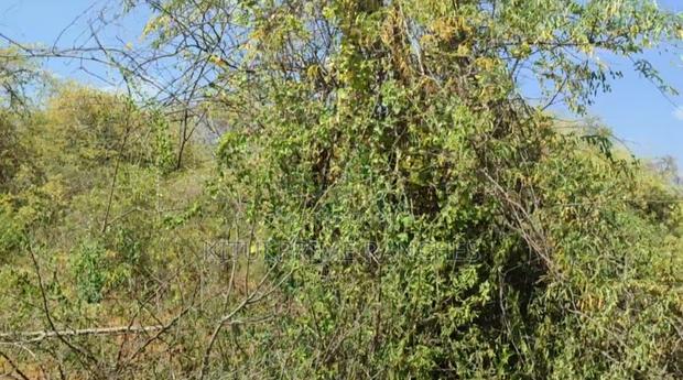 198 Acres For Sale In Mutha - thumbnail 2