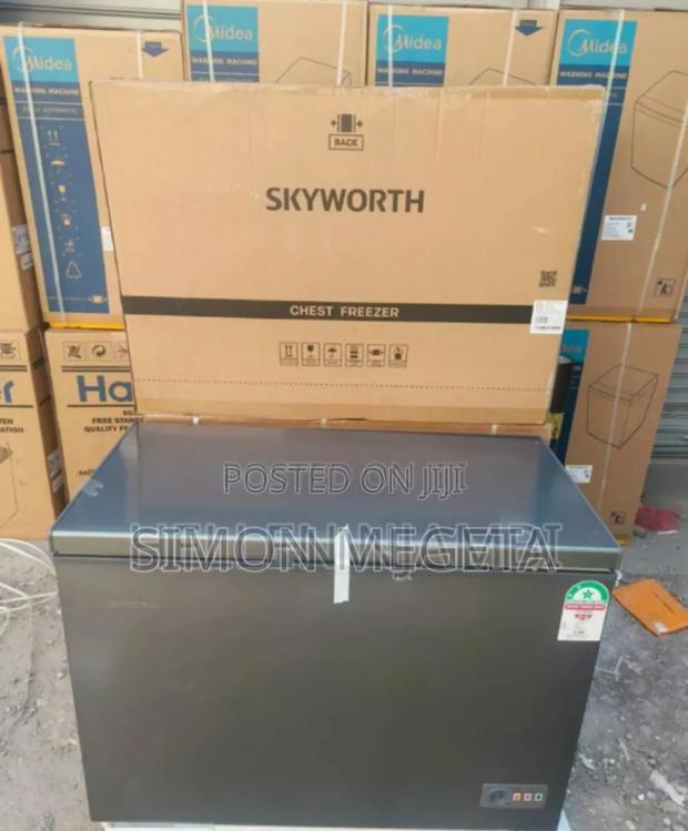 Modernized Modern Skyworth 264l Freezer