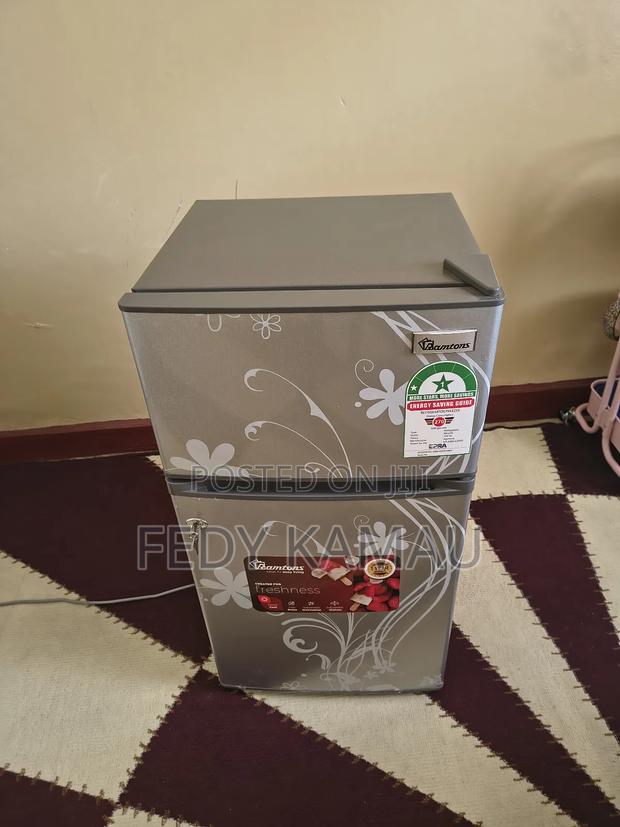 Double Door 90 Litres Ramtons Refrigerator - thumbnail 4