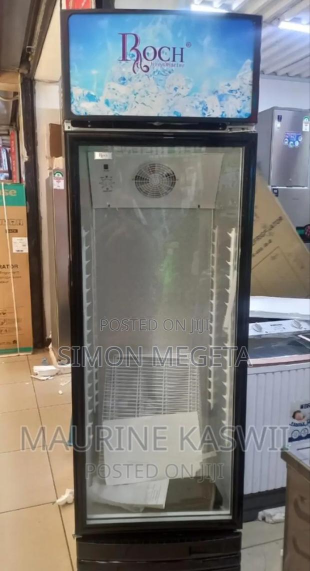 With 5years Warranty Roch 329l Display Fridge