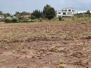 Quarter Acre for Sale in Gikambura Kikuyu Kiambu County.